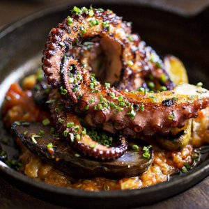 thumb_600.jpg thumb_600.jpg