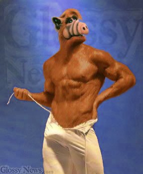 Alf_Sexy.jpg