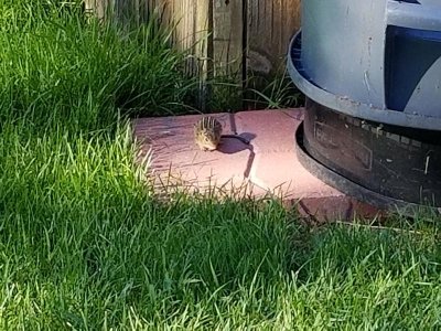 20180706_175020.jpg 20180706_175020.jpg