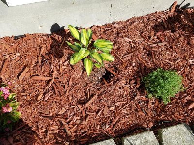 20180706_174905.jpg 20180706_174905.jpg