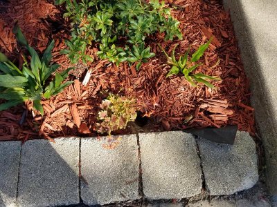 20180706_174840.jpg 20180706_174840.jpg