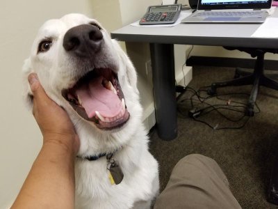 20180703_102738.jpg