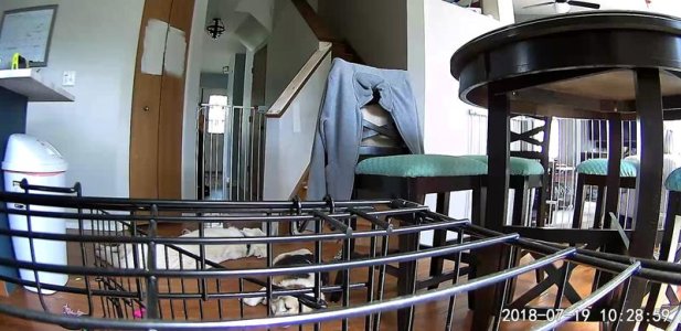 Screenshot_20180719-102859_Wyze.jpg Screenshot_20180719-102859_Wyze.jpg