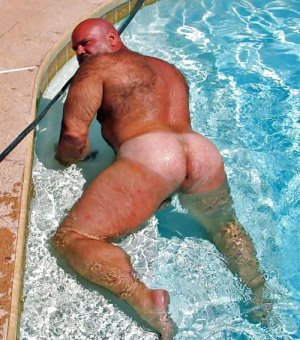 poolbearshowingass.jpg