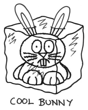 CoolBunny.jpg