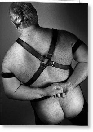 sexy-bearback-bear-pictureart.jpg