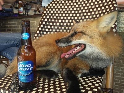 relaxed with beer.jpg