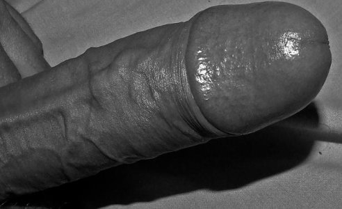 hung cock black white.jpg