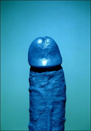 x-Matthias Herrmann Homoerotic Nude Male Color Studio.jpg