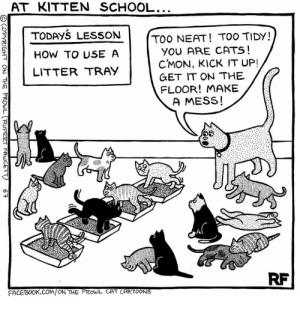 at-kitten-school-todays-lesson.png