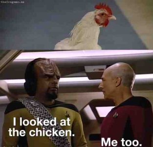 Chicken game..jpg