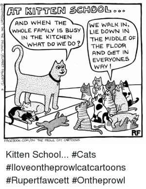at-kitten-school.png