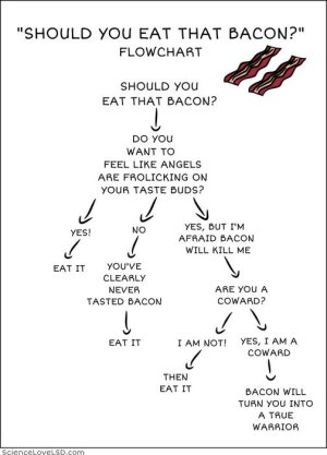 Should-You-Eat-That-Bacon-Chart.jpg