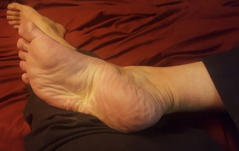 feet1.jpg