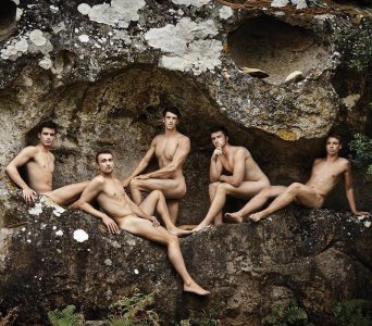 the boys of summer 38700124.jpg