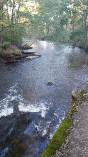 20181017_080842.jpg 20181017_080842.jpg