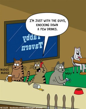 funny-cat-comics-scott-metzger-cartoons-24.jpg