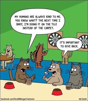 funny-cat-comics-scott-metzger-cartoons-36.jpg