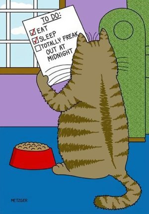 funny-cat-comics-scott-metzger-cartoons-55.jpg