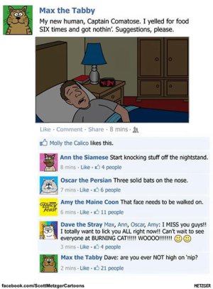 funny-cat-comics-scott-metzger-cartoons-56.jpg
