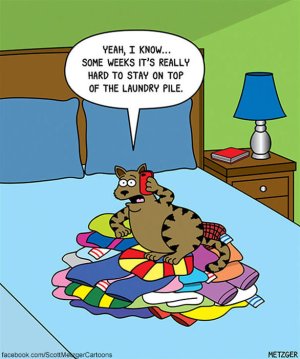 funny-cat-comics-scott-metzger-cartoons-87.jpg
