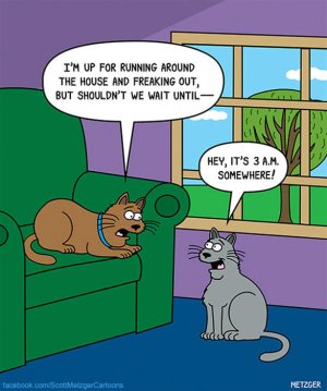 funny-cat-comics-scott-metzger-cartoons-102.jpg