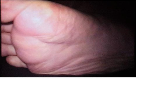 feet1.jpg
