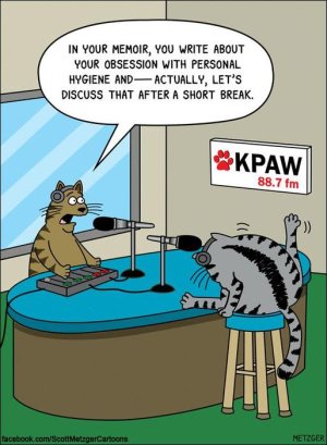 funny-cat-comics 8061f50d6b6315575.jpg