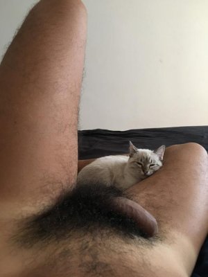 cock&pussy.jpg