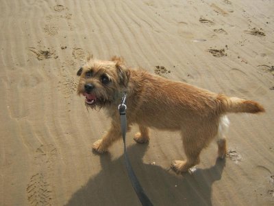 IMG_7892 28.08.18.jpg