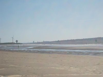 IMG_7978 09.10.18.jpg