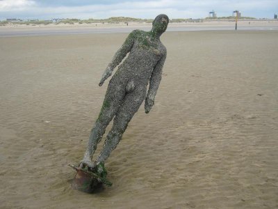 IMG_8054 16.10.18.jpg