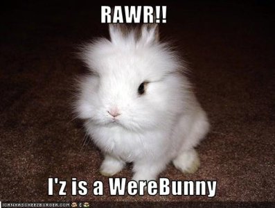 werebunny.jpg