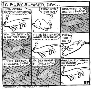 a-busy-summer-day.jpg