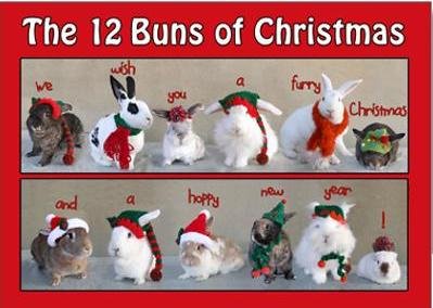 buns of christmas.jpg