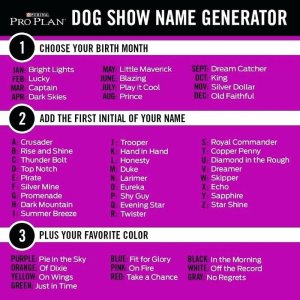 showdog-name-generator.jpg