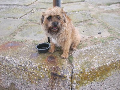 14.11.18 IMG_8350.jpg