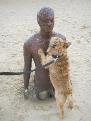 14.11.18 IMG_8357.jpg