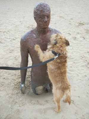 14.11.18 IMG_8358.jpg