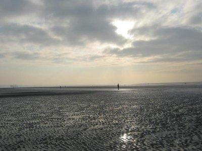 22.11.18 IMG_8483.jpg