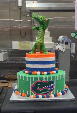 florida-gators-cake.jpg