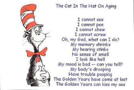 the cat in the hat.jpg