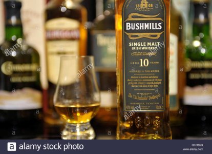 single-malt-whiskey-aged-10-years-and-whiskey-DE6RKG.jpg