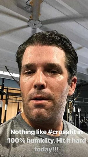 4AB92DEA00000578-5565587-Donald_Trump_Jr_shared_images_and_photos_on_social_media_of_hims-m-81_1.jpg