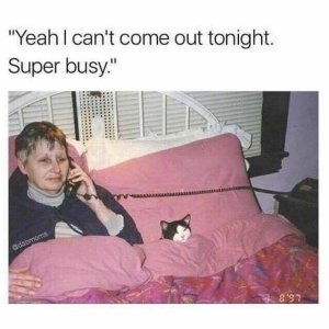 super_busy.jpg