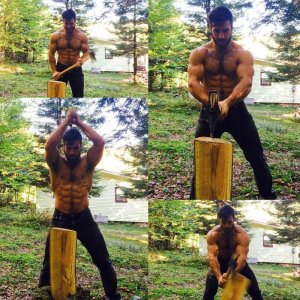 That log didn't stand a chance.jpg