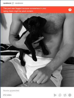 Screenshot_2018-12-28 (16) Tumblr.jpg