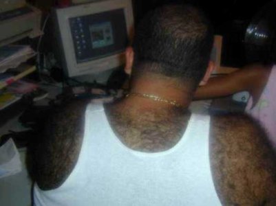 hairyback.jpg