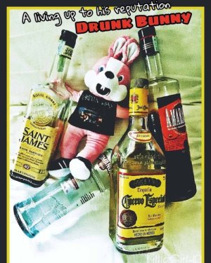drunk bunny.jpg