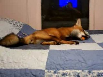 on bed 2.jpg on bed 2.jpg